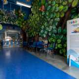 Varcata la soglia ci ritroviamo nel foyer per venire immersi in una dimensione onirica. Non c�� infatti un solo angolo dell�ambiente che non sia arredato dalle imponenti scenografie realizzate da Luzzati, tra cui spiccano gli alberi che svettano alla destra dell�ingresso e i variopinti uccelli che spuntano dal soffitto